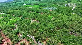 关于輭輾犞'烞^爣佒aQ?杏WgwBo0裡&amp;l搲汶槝x茦u>v失?U??E粲的信息-英雄联盟台服官网